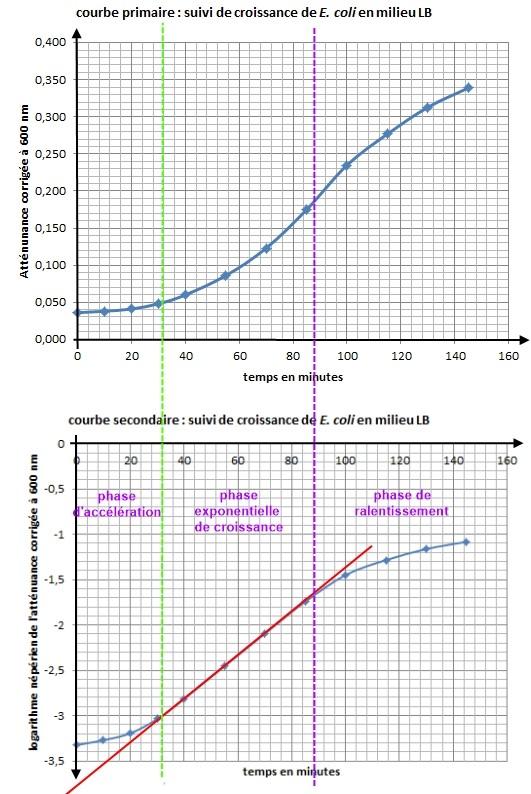 Croissance Microbienne Suivi De Croissance