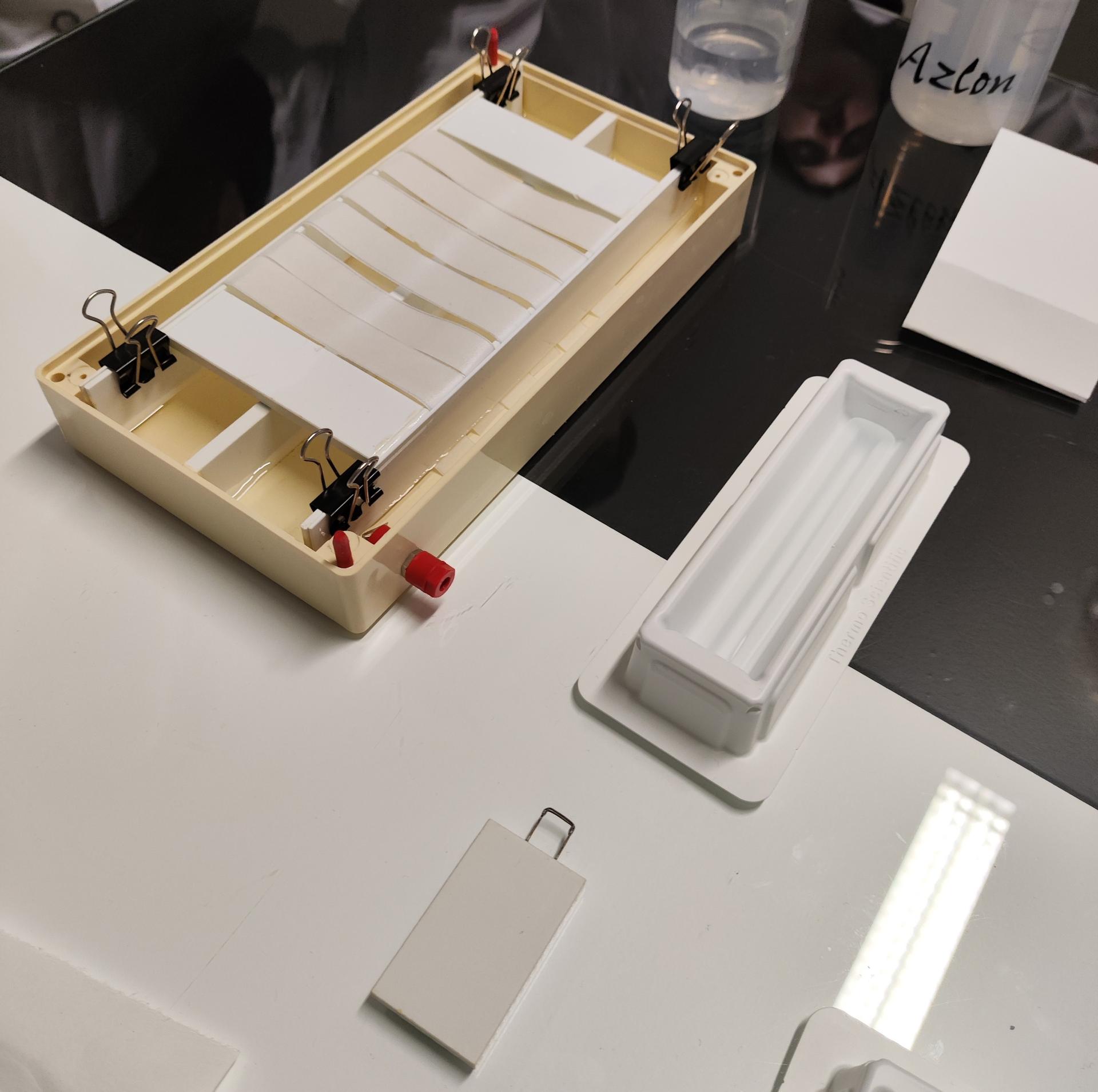 At 5 6 electrophorese aa 4