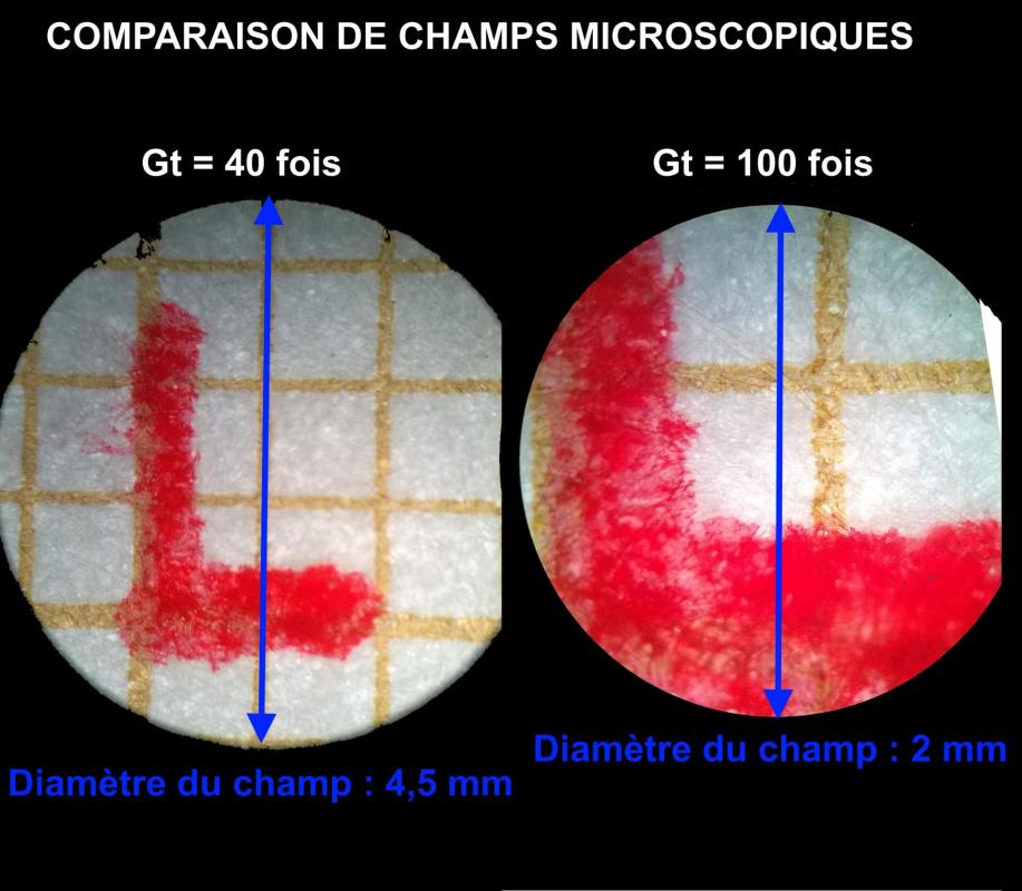 Champ microscope comparaison