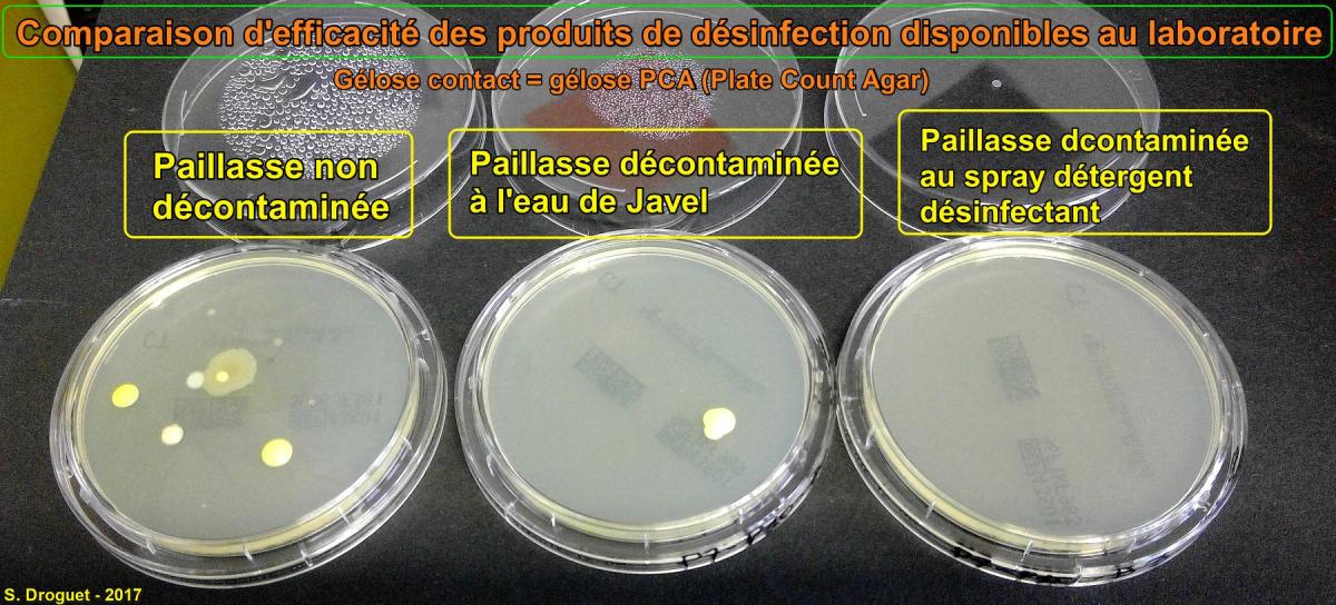 Comparaison desinfectants labo annote
