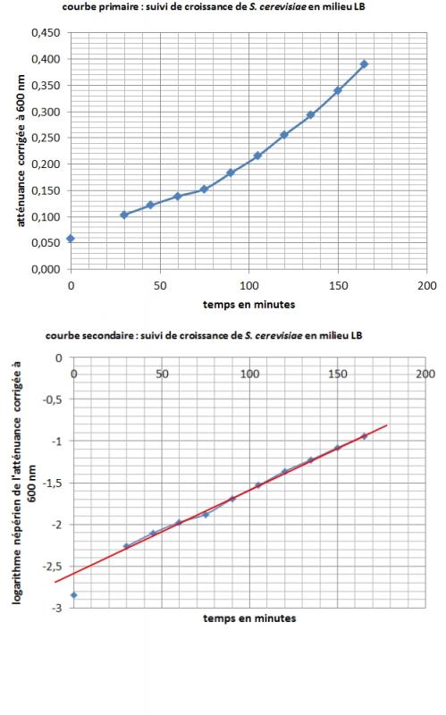 Croissance s cerevisiae en milieu lb 2