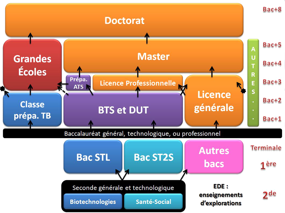formation biotechnologies