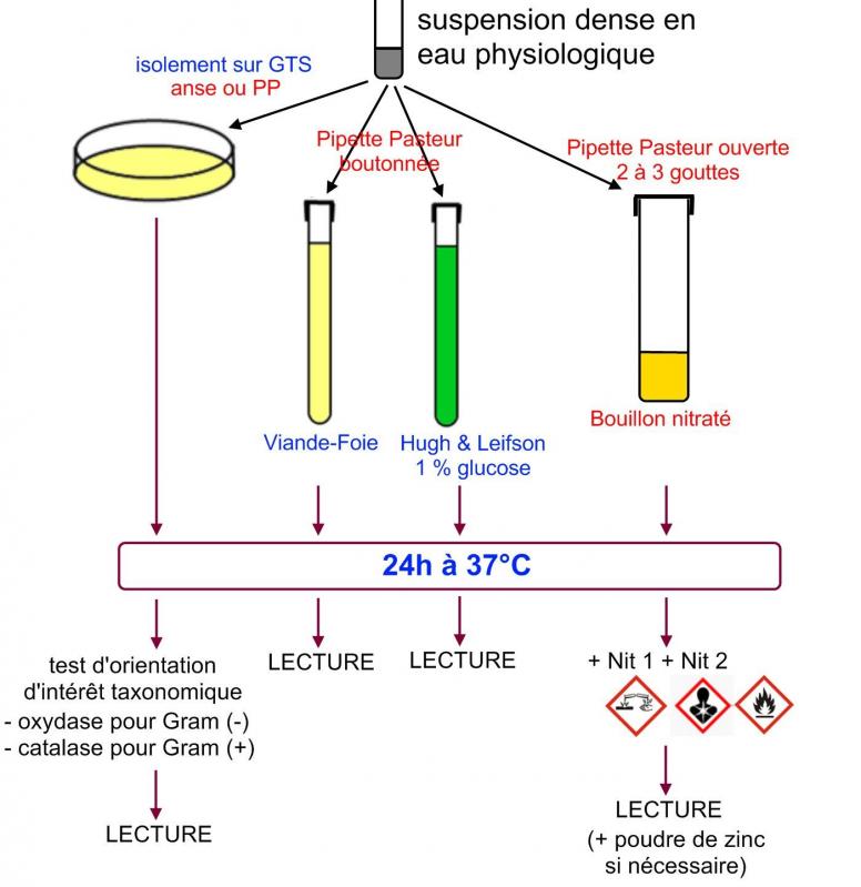 Plan etude orientation